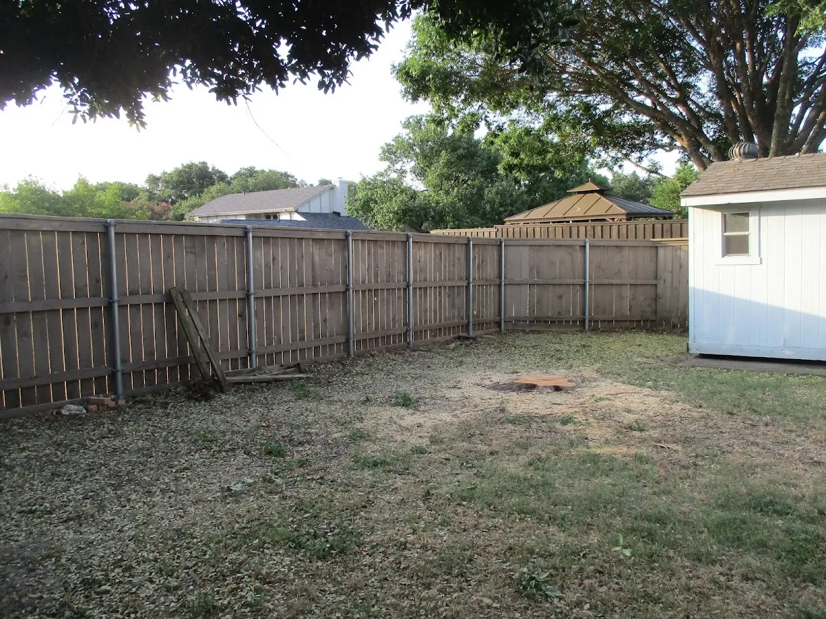 Cleared yard after professional tree removal in Summerdale